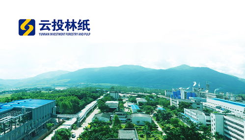 昆明网络科技巨头 奥远科技与顶播科技引领行业创新