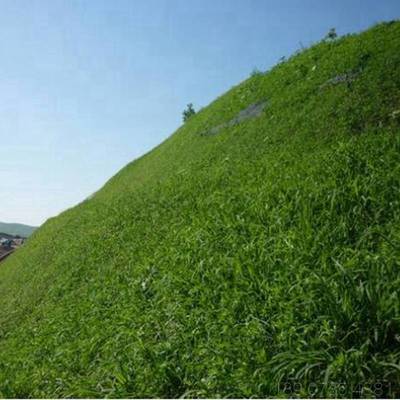 喷播植草 云南昆明矿山生态修复工程用的植草护坡单价 成本低 全国施工